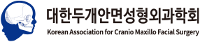 대한두개안면성형외과학회